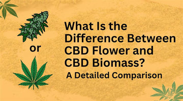 What Is the Difference Between CBD Flower and CBD Biomass? A Detailed Comparison