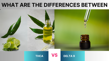 What Are the Differences Between THCA vs Delta 9?
